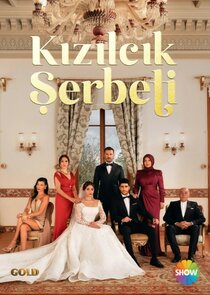 Kızılcık Şerbeti 2.Sezon 28.Bölüm Ne Zaman?