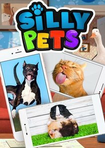 Silly Pets Ne Zaman?'