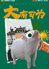 The Way to Success Ne Zaman?'