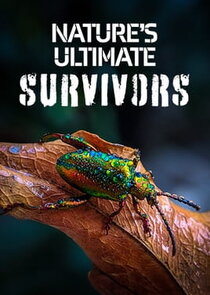 Nature's Ultimate Survivors Ne Zaman?'