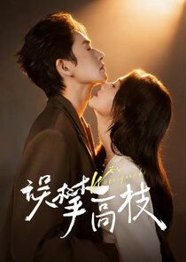 Wu Pan Gao Zhi Ne Zaman?'