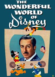 The Wonderful World of Disney Ne Zaman?'
