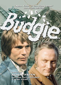 Budgie Ne Zaman?'