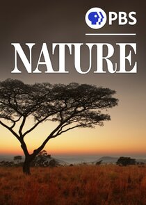 Nature Ne Zaman?'