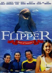 Flipper Ne Zaman?'