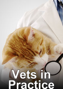 Vets in Practice Ne Zaman?'