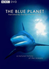 The Blue Planet Ne Zaman?'