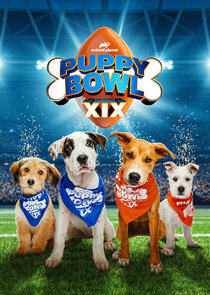Puppy Bowl 2026.Sezon Ne Zaman?