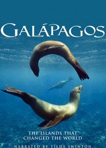 Galapagos Ne Zaman?'