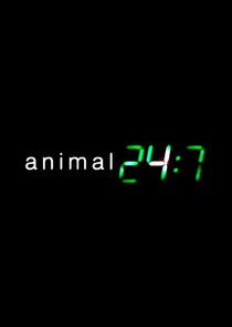 Animal 24:7 Ne Zaman?'