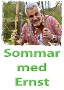 Sommar med Ernst Ne Zaman?'