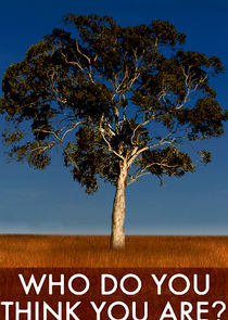 Who Do You Think You Are? Ne Zaman?'