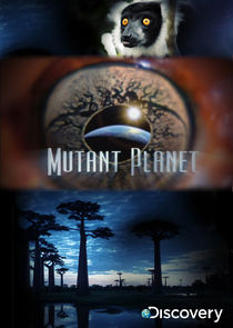 Mutant Planet Ne Zaman?'
