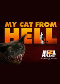 My Cat from Hell Ne Zaman?'
