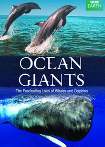 Ocean Giants Ne Zaman?'