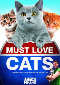 Must Love Cats Ne Zaman?'