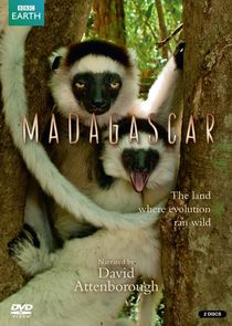 Madagascar Ne Zaman?'