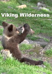 Viking Wilderness Ne Zaman?'