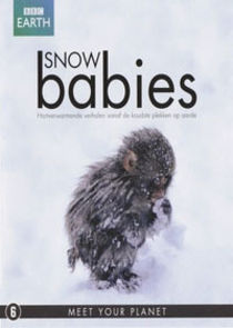 Snow Babies Ne Zaman?'