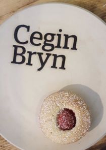 Cegin Bryn Ne Zaman?'