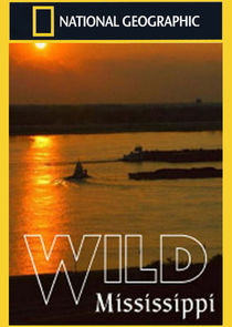 Wild Mississippi Ne Zaman?'