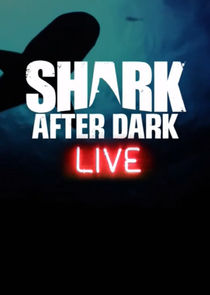 Shark After Dark Ne Zaman?'