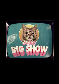 Lil BUB's Big SHOW Ne Zaman?'