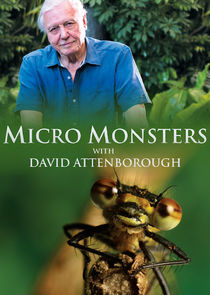 Micro Monsters with David Attenborough Ne Zaman?'