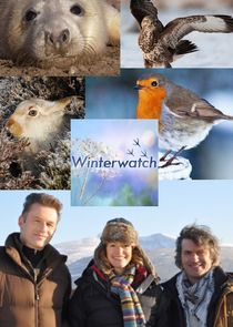 Winterwatch Ne Zaman?'