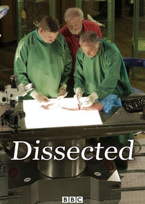 Dissected Ne Zaman?'