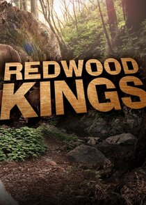 Redwood Kings Ne Zaman?'