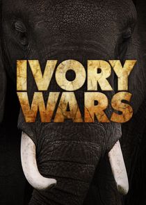 Ivory Wars Ne Zaman?'