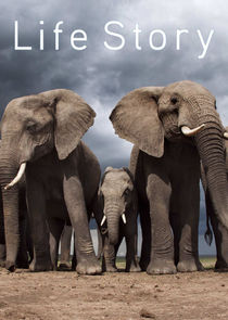 Life Story Ne Zaman?'