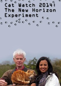 Cat Watch 2014: The New Horizon Experiment Ne Zaman?'