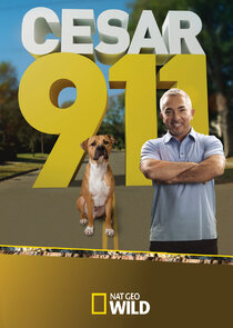 Cesar 911 Ne Zaman?'