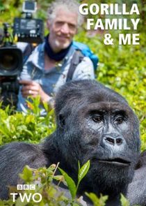 Gorilla Family & Me Ne Zaman?'