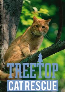 Treetop Cat Rescue Ne Zaman?'