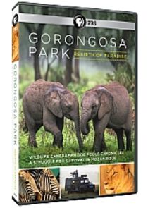 Gorongosa Park: Rebirth of Paradise Ne Zaman?'