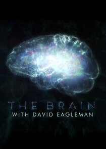 The Brain with David Eagleman Ne Zaman?'