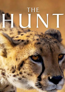 The Hunt Ne Zaman?'