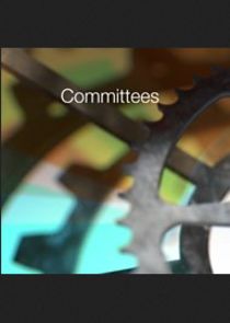 Select Committees Ne Zaman?'