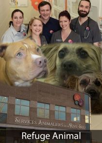 Refuge Animal Ne Zaman?'