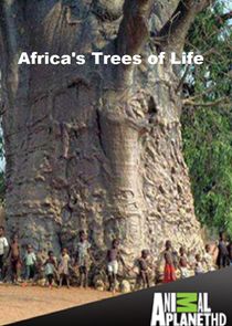 Africa's Trees of Life Ne Zaman?'
