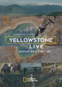 Yellowstone Live Ne Zaman?'