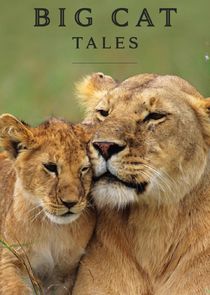 Big Cat Tales Ne Zaman?'