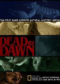 Dead by Dawn Ne Zaman?'