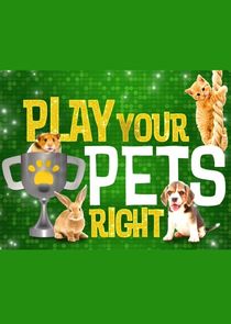 Play Your Pets Right Ne Zaman?'