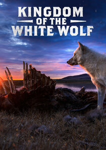 Kingdom of the White Wolf Ne Zaman?'