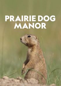 Prairie Dog Manor Ne Zaman?'