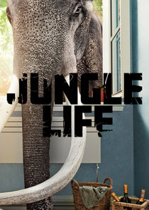 Jungle Life Ne Zaman?'